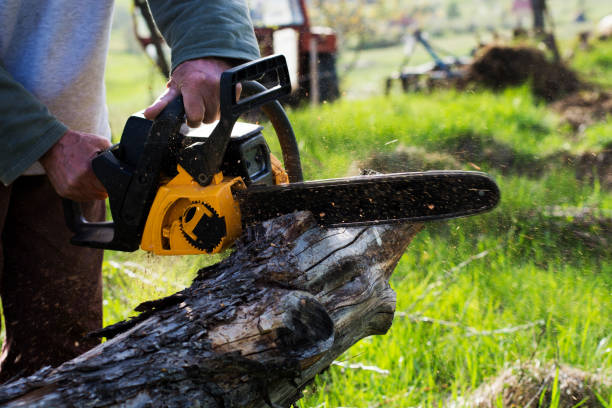 Lawn Maintenance Plans in Pleasant Hill, CA